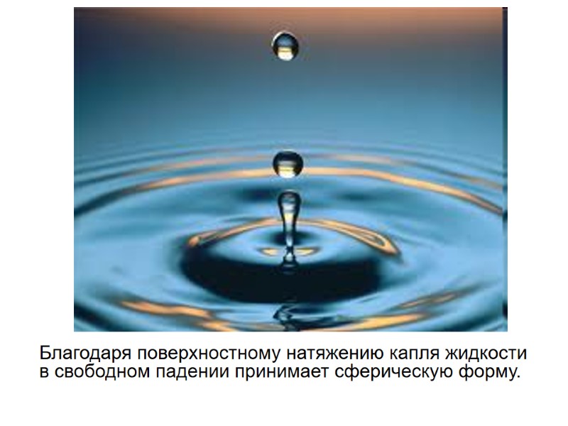 Благодаря поверхностному натяжению капля жидкости в свободном падении принимает сферическую форму. Благодаря поверхностному натяжению капля жидкости в свободном падении принимает сферическую форму.